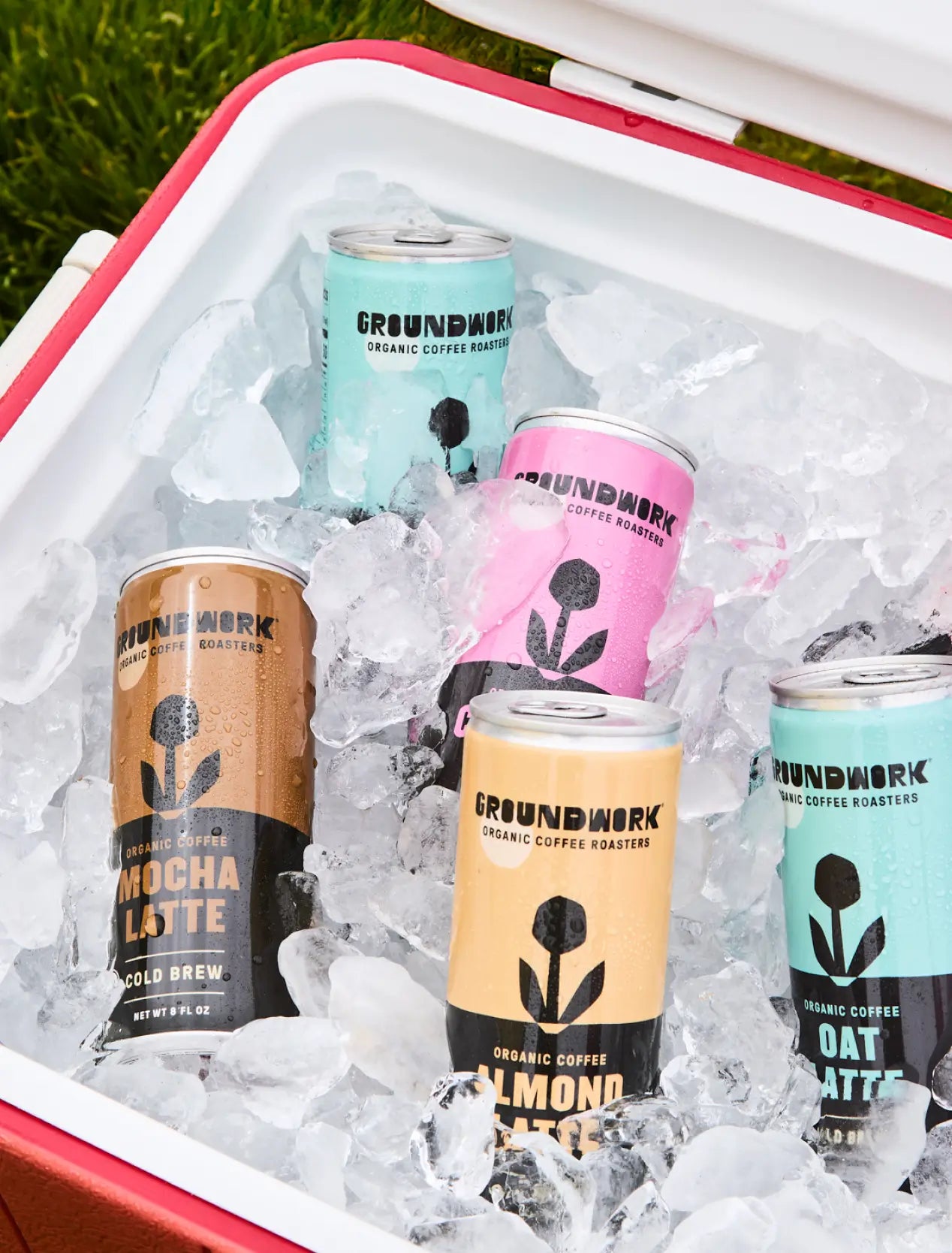 Five cans of Groundwork Coffee Organic Cold Brew Latte in Mocha, Almond, and Oat flavors are chilled on ice in a cooler.