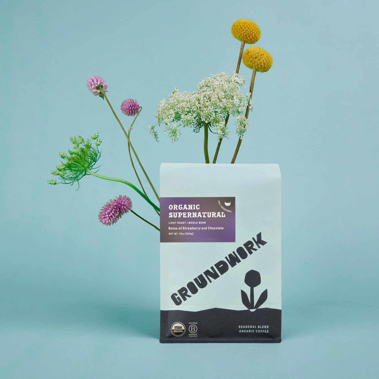 A bag of Groundwork Coffee Stores Seasonal Select: Supernatural sits before colorful wildflowers on a light blue background.