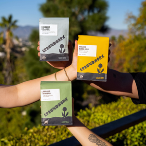 Three bags of Groundwork Coffee being held up in front of a bush