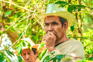 Close up of coffee farmers face