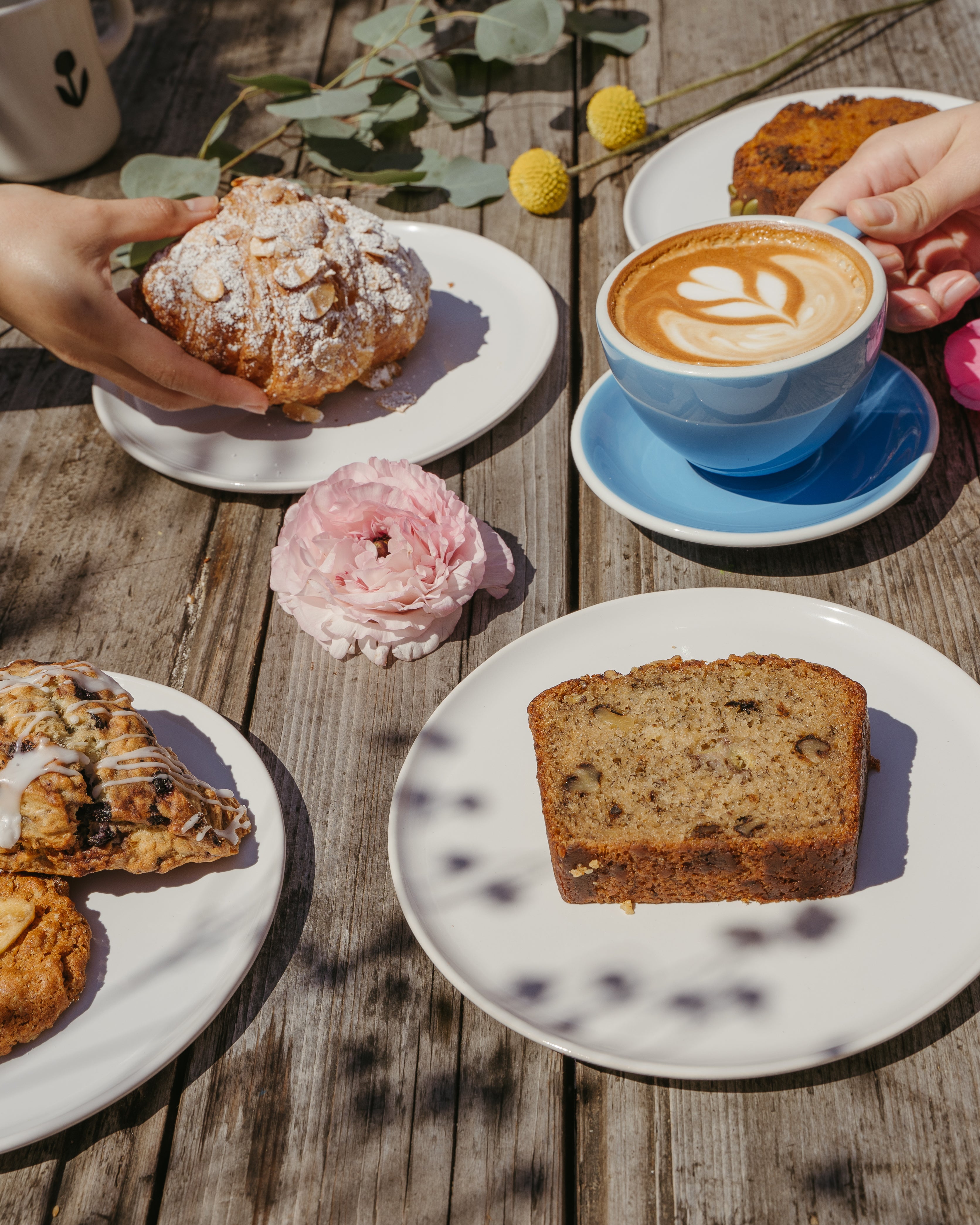 InStore Groundwork Gift Card Groundwork Coffee Co