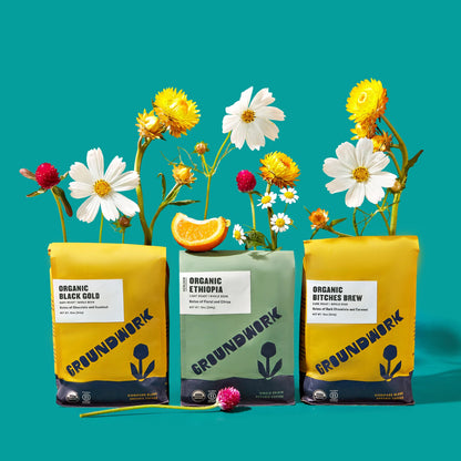 Three colorful Groundwork Coffee bags, including the Best-Sellers Coffee Bundle, with flowers and an orange slice on a bright turquoise background.
