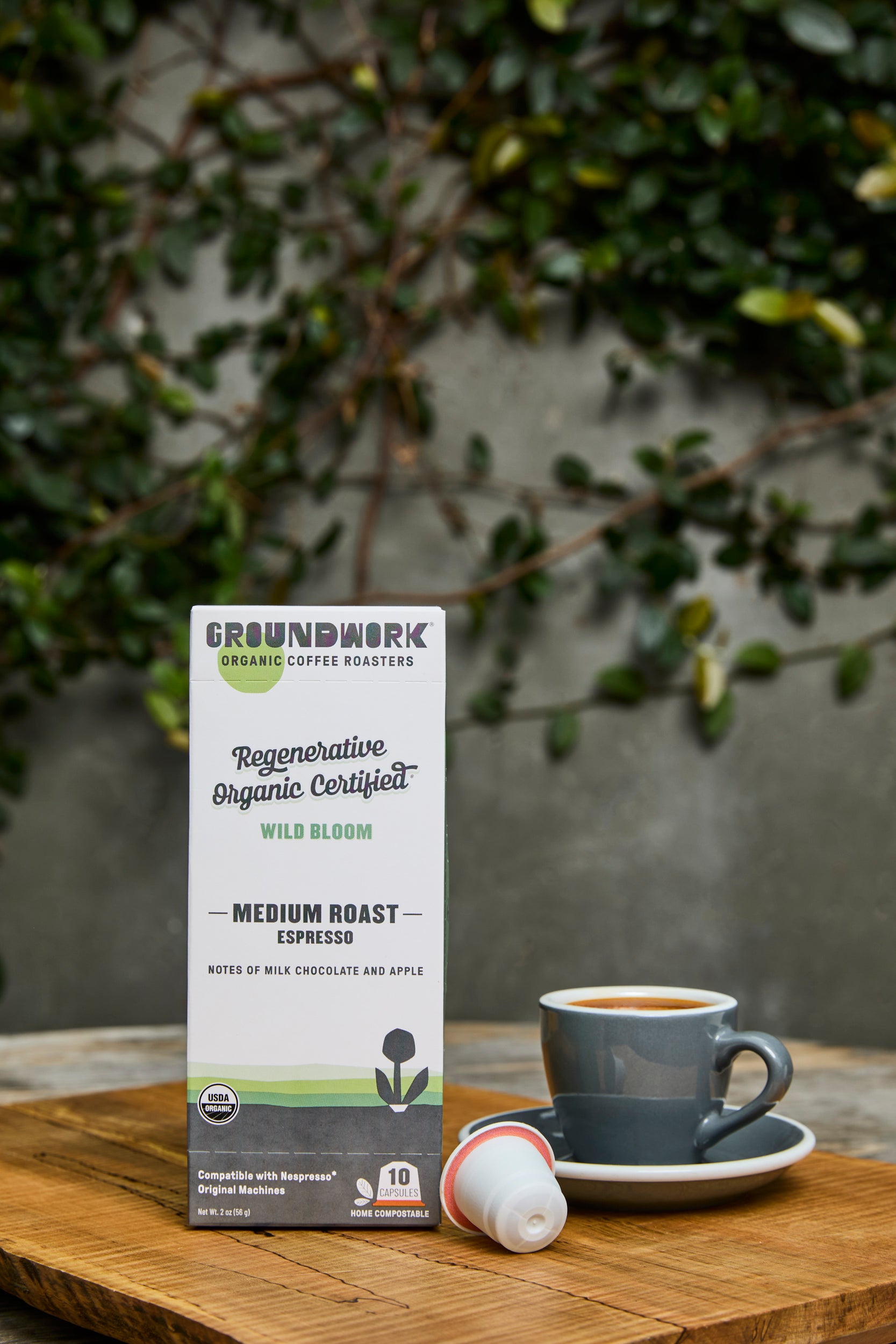 A box of Groundwork Coffee Regenerative Organic Certified® Wild Bloom - Nespresso pods sits on a wooden table beside a gray cup, with leafy green plants blurred in the background.