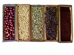 five forms of coffee ranging from coffee pod to ground