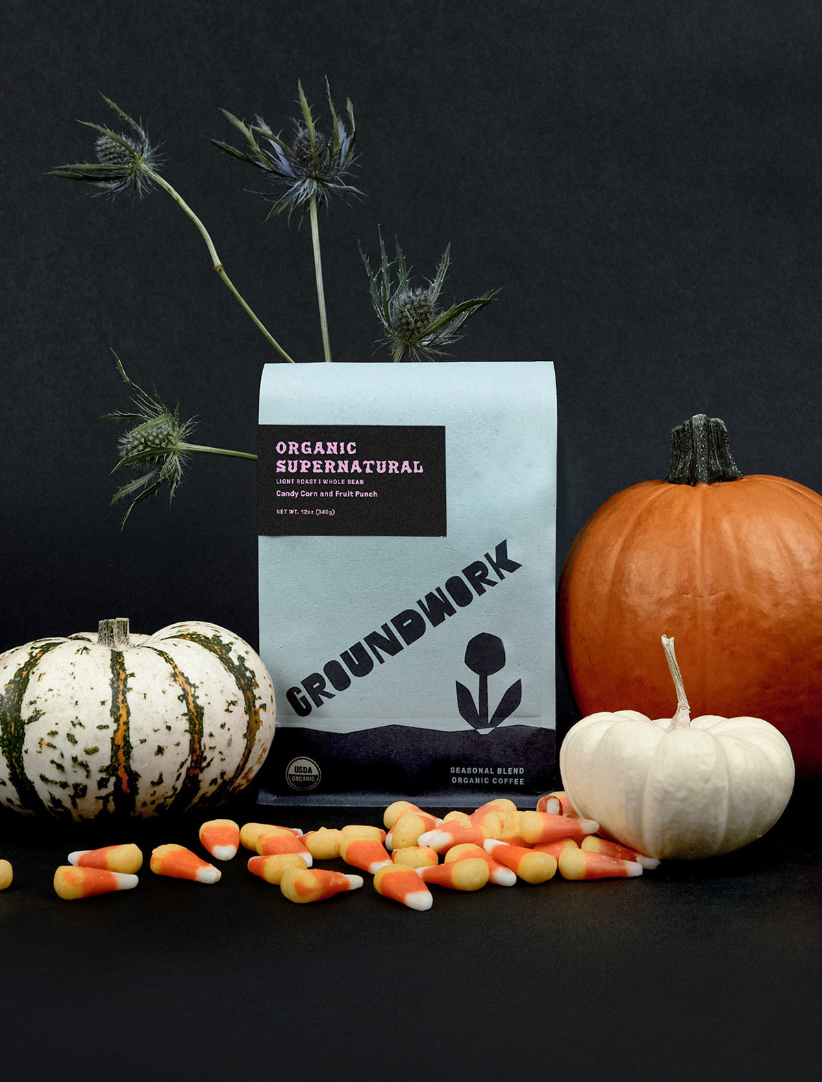 Supernatural light roast coffee surrounded by pumpkins and candy corn